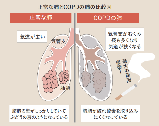 39803e6f0c8a41ed978271837d829eac-1757658648.png